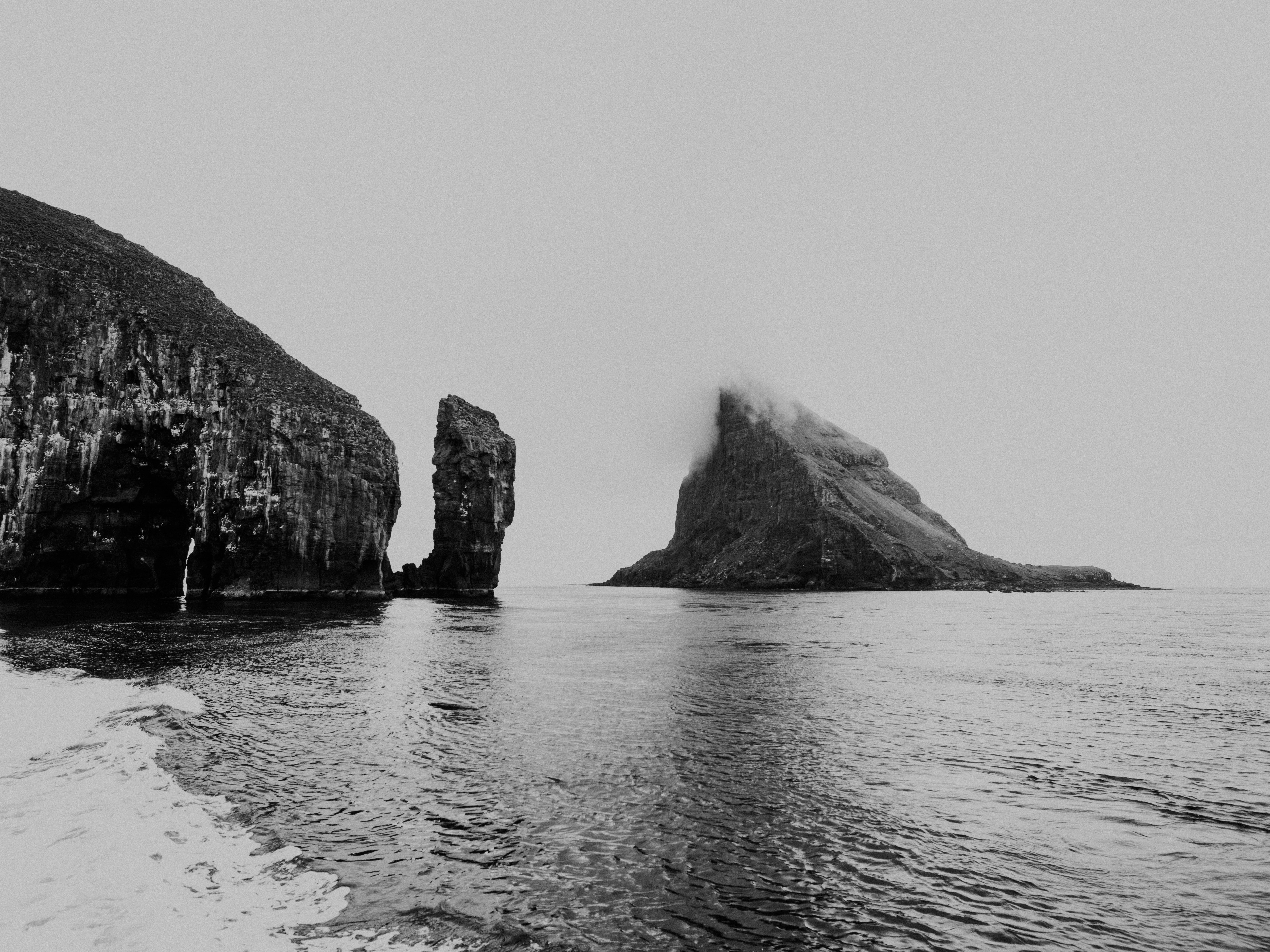 Seize the New Growth, looking through the window to find opportunity